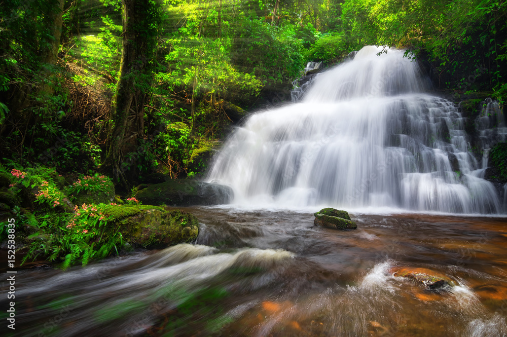 Obraz premium Man Daeng waterfall.