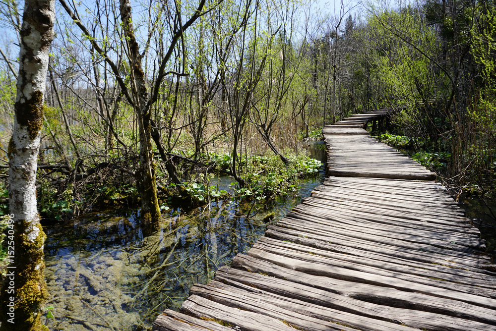 Curved timber walkway in Plitvice national park Curved timber walkway in Plitvice national park