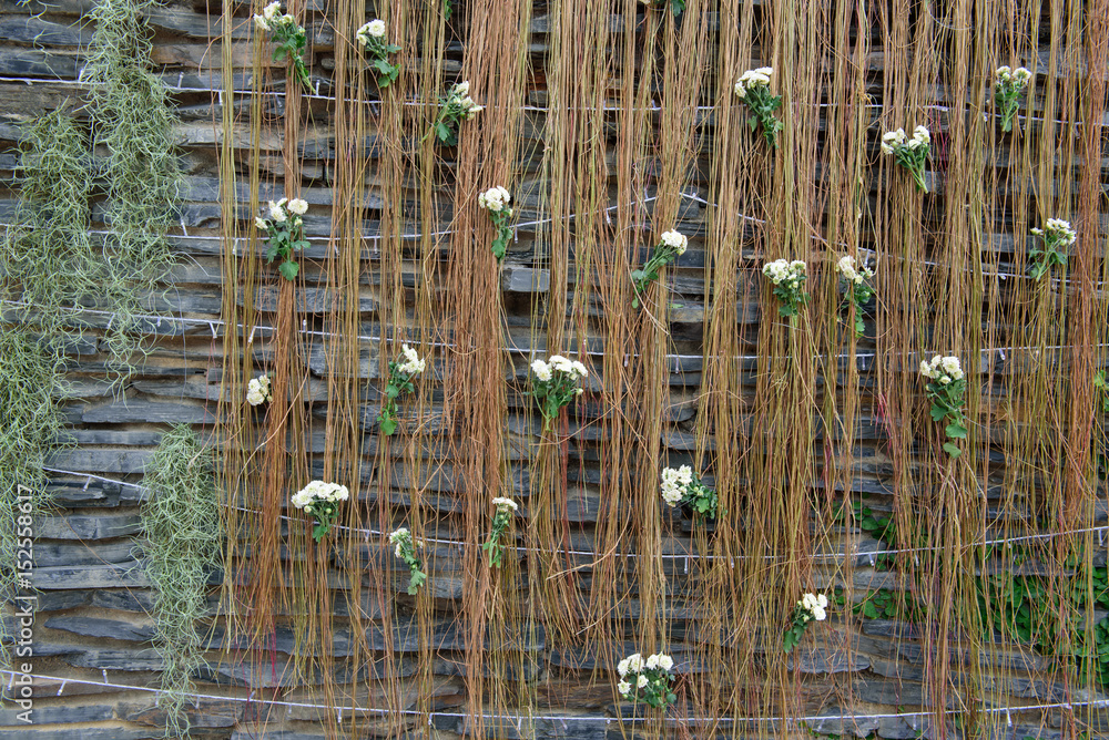 Obraz premium Flower and creeping plant backdrop