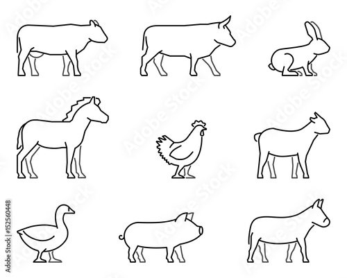 Vector line icons for farm animals