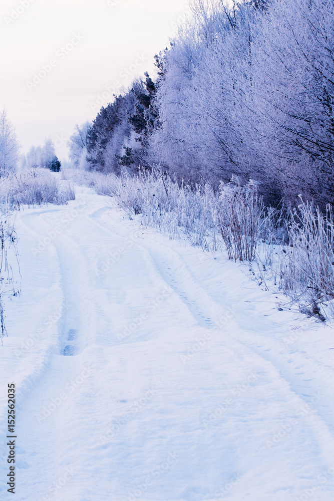 Beautiful winter road in the countryside