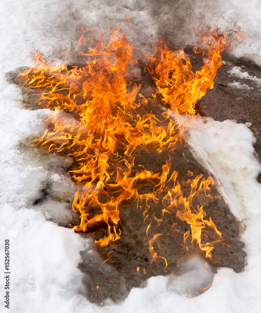 fiery flame on the white snow in winter fiery flame on the white snow in winter