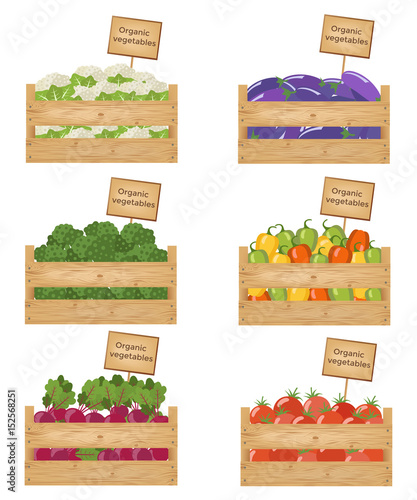 Wooden boxes of vegetables. Organic vegetables. Vector illustration.