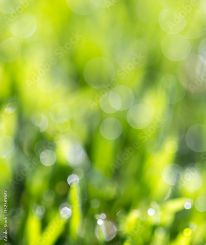 Beautiful green bokeh nature as background.