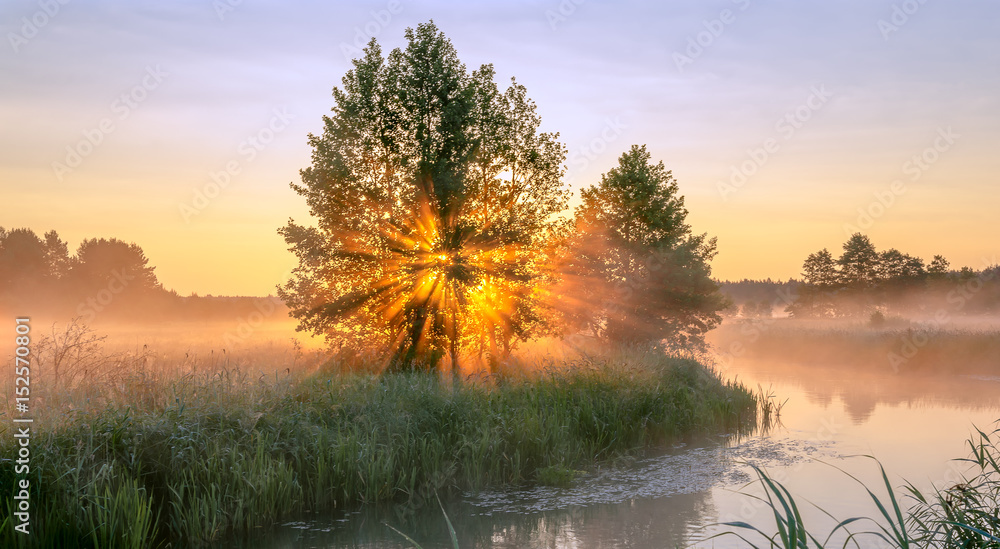 Obraz premium Wczesne promienie