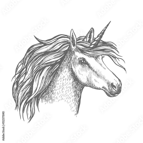 Fototapeta Naklejka Na Ścianę i Meble -  Mythic unicorn horse vector sketch