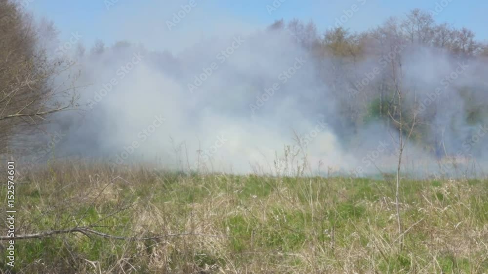 Fire situation in Europe region in spring. Burning dry grass near forest. Burning peat on a peat bog. Drought in nature. Global warming. Fire situation in Europe region in spring. Burning dry grass near forest. Burning peat on a peat bog. Drought in nature. Global warming.