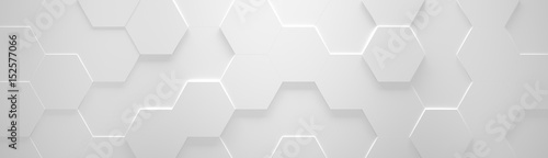 White Wide Hexagon Background (Site head) (3d illustration)
