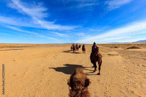 tour en chameau dans le désert de Gobi en Mongolie