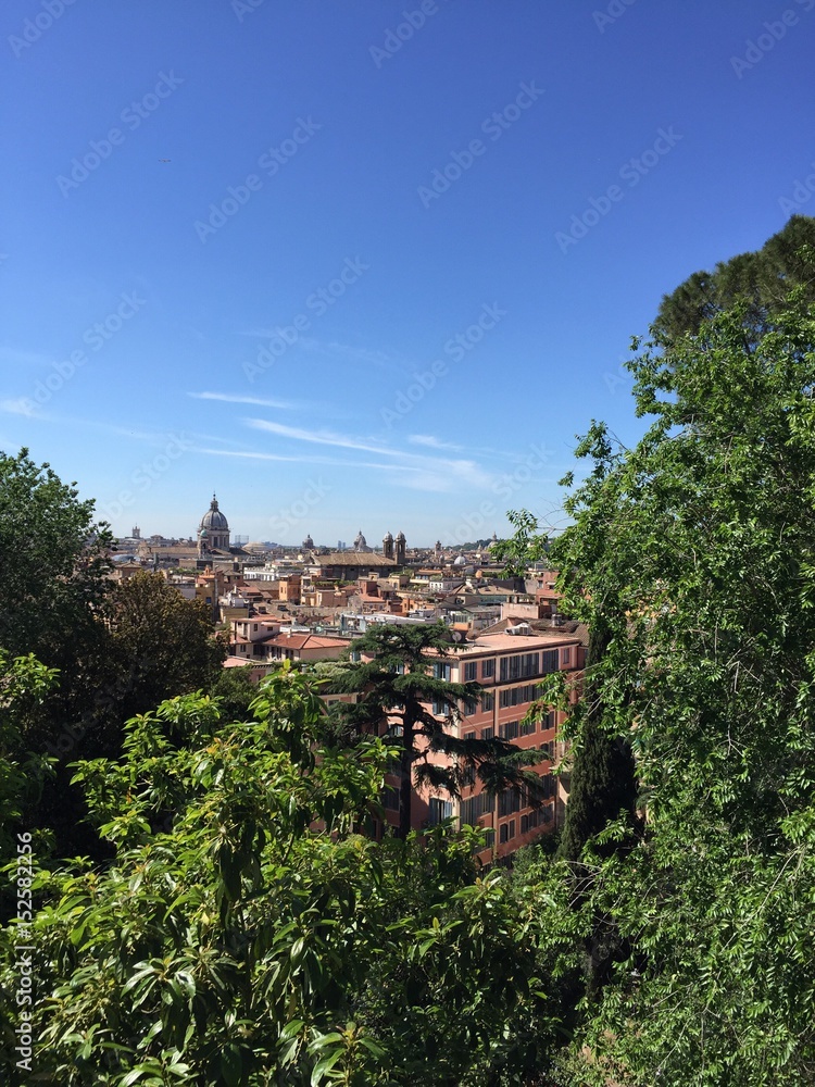 Fototapeta premium Roma