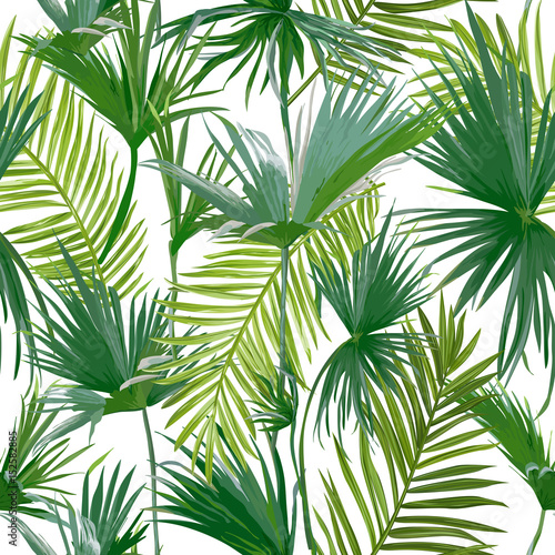 Tropical Palm Leaves, Jungle Leaves Seamless Vector Floral Pattern Background