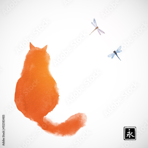 Fluffy red cat watching two dragonflies. Traditional oriental ink painting sumi-e, u-sin, go-hua on white background. Contains hieroglyph - eternity.