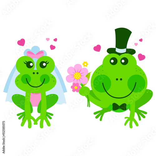 Cartoon bride and groom frogs. Vector illustration
