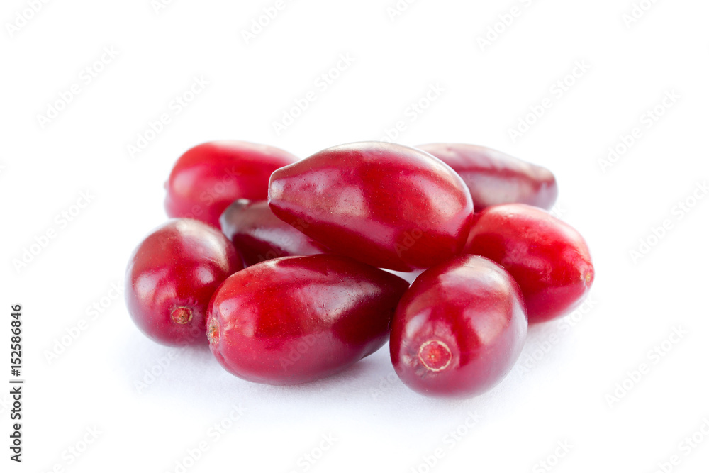 Ripe cornel berry on white background Ripe cornel berry on white background