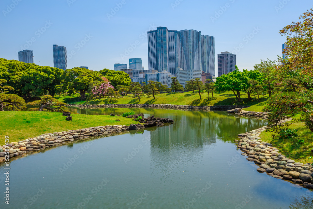 Hamarikyu Gardens is a large and attractive landscape garden in Tokyo, Chuo district, Sumida River, Japan. Oriental japanese garden. The Hama Rikyu is in contrast to the skyscrapers of city.