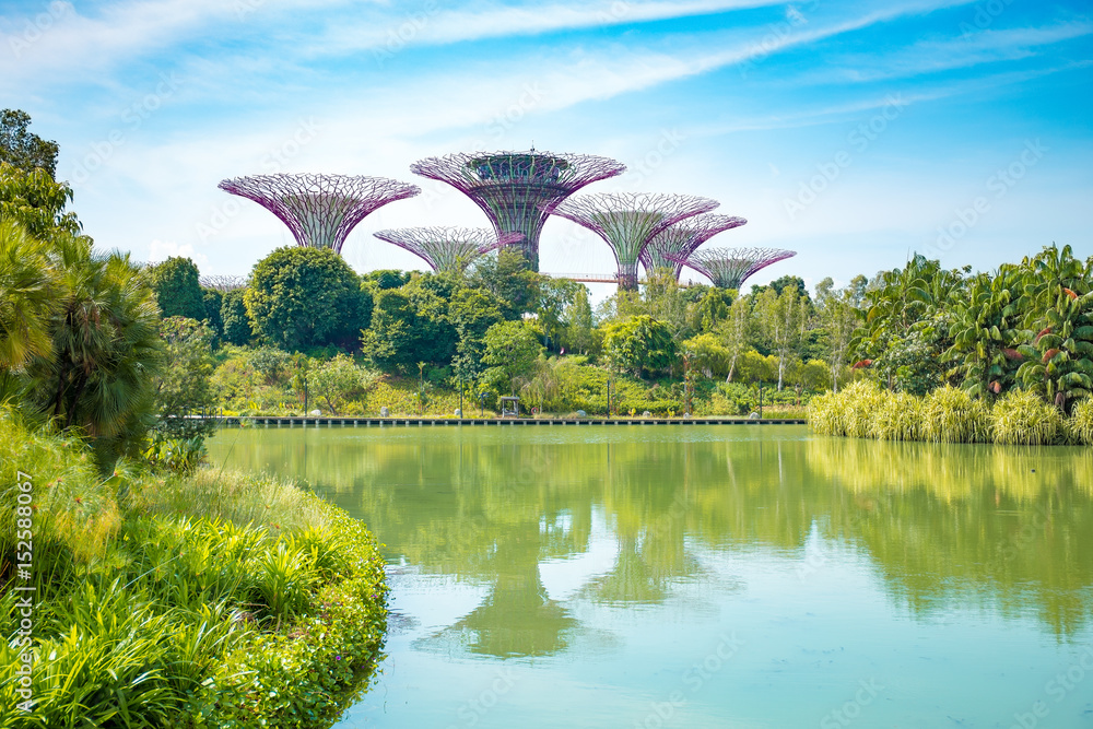 Obraz premium Super Tree Grove in Singapore