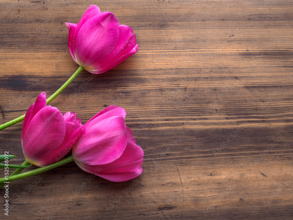 Pink tulips, floral arrangement on wooden background from old boards and a space for messages. Background for Mother's Day, 8 March and other greeting cards for lovely women. Soft focus, top view. Pink tulips, floral arrangement on wooden background from old boards and a space for messages. Background for Mother's Day, 8 March and other greeting cards for lovely women. Soft focus, top view.