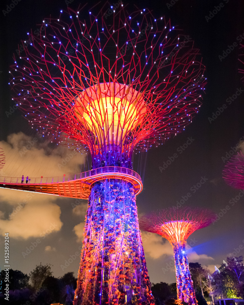 Fototapeta premium Supertree Grove in Singapore