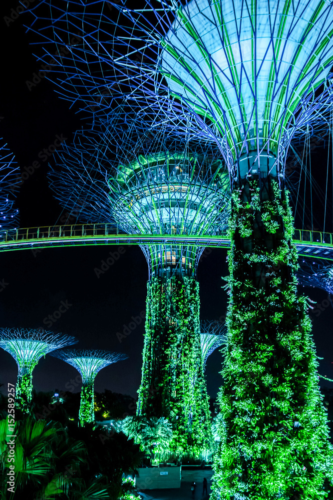Obraz premium Supertreegarden by night in Singapore