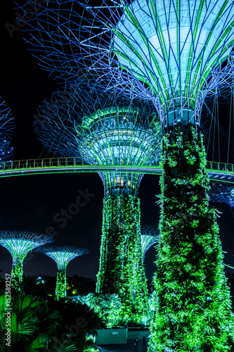 Supertreegarden by night in Singapore