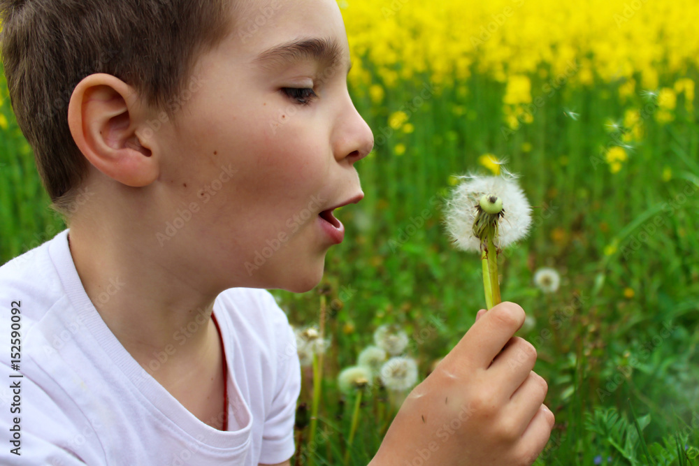 Funny boy with dandelions in the meadow in the summer. Funny boy with dandelions in the meadow in the summer.