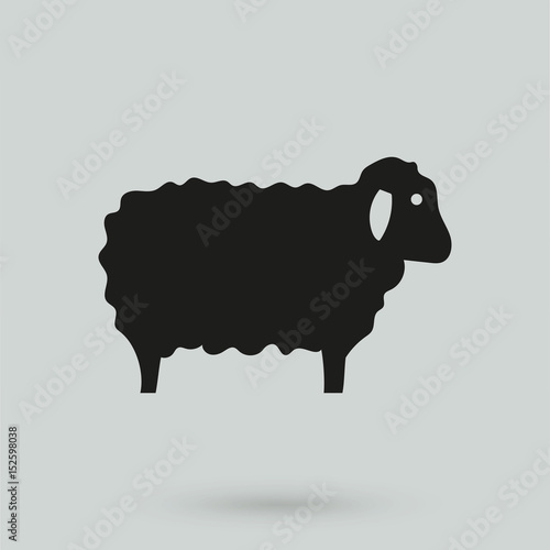 sheep icon