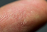 Closeup image of human fingerprint on a index finger as identification, control, biometric, security concept background