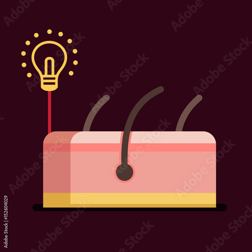 Skin vector illustration