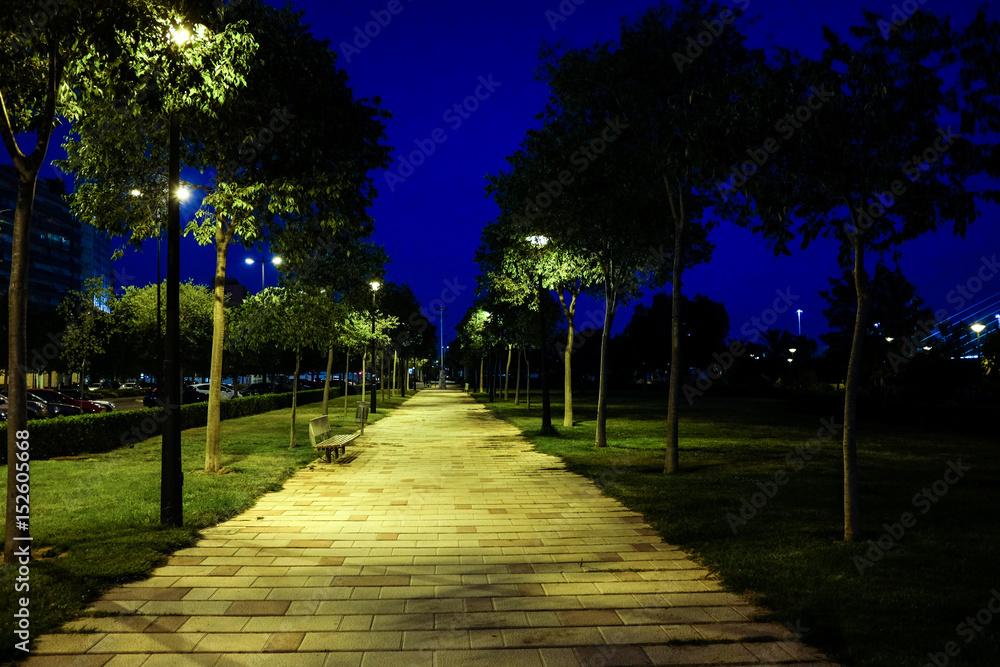 Obraz premium Park at Night in Valencia Spain