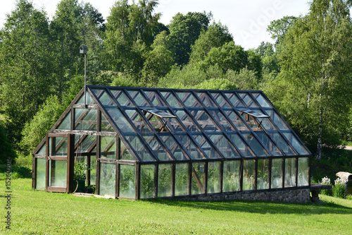 Vegetable gardening in a greenhouse. © A. Strode