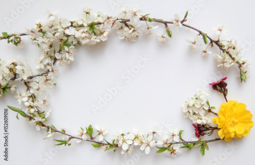 Composition flat lay. Art spring flowers frame background. Still life arrangement of flowers as border. 