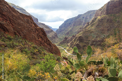Panoramic view of Guayadeque ravine. Gran Canaria. Spain photo