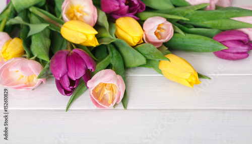 Bright tulips bouquet on white wood background, copy space
