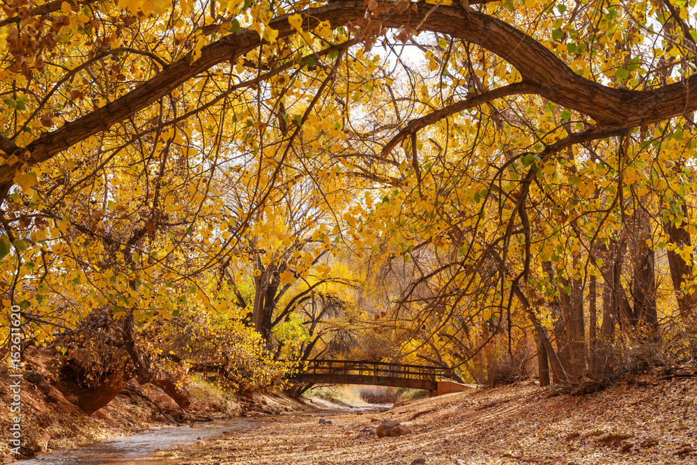 Fototapeta premium Bridge in autumn forest