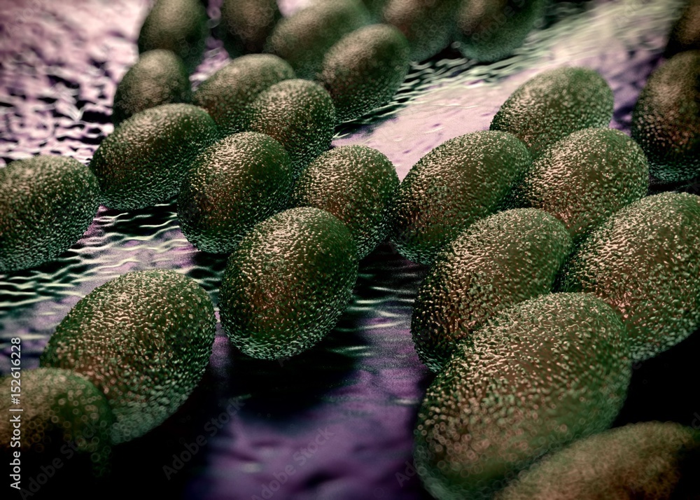 3d rendering - acetobacter bacteria 3d rendering - acetobacter bacteria