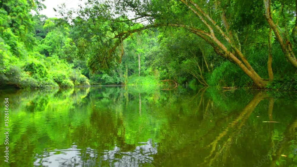 Sailing in a small canal in the countryside. Asia's tropical forests Sailing in a small canal in the countryside. Asia's tropical forests
