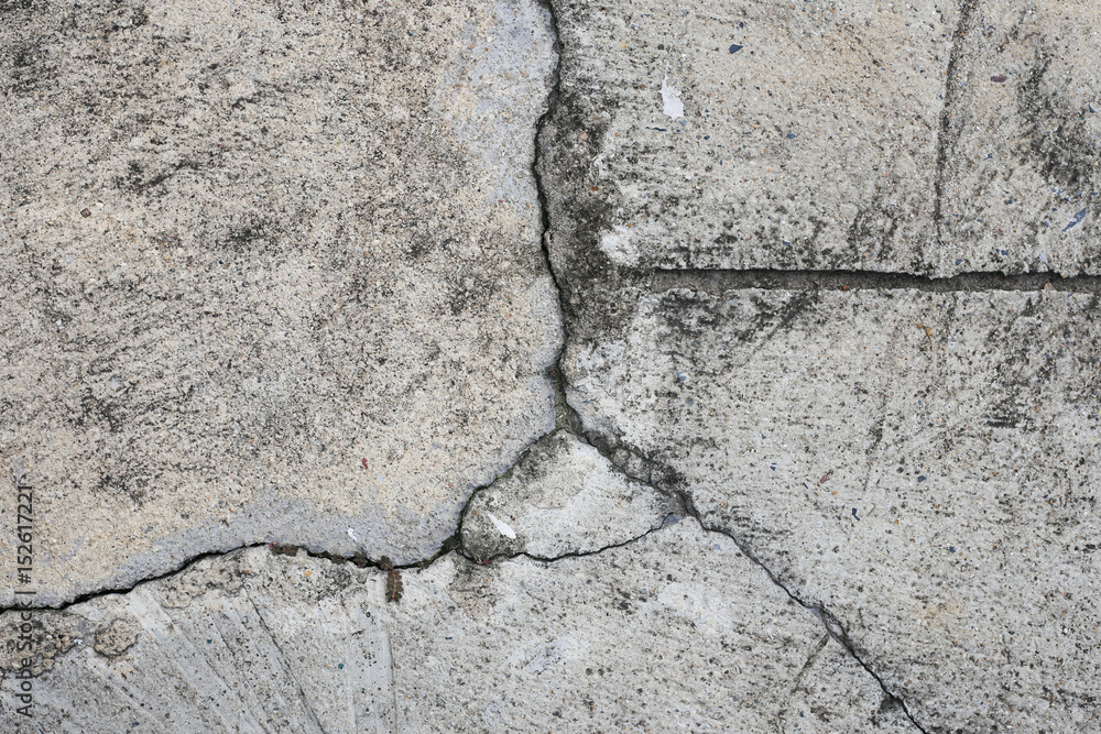 Fototapeta premium Cement floor in garden