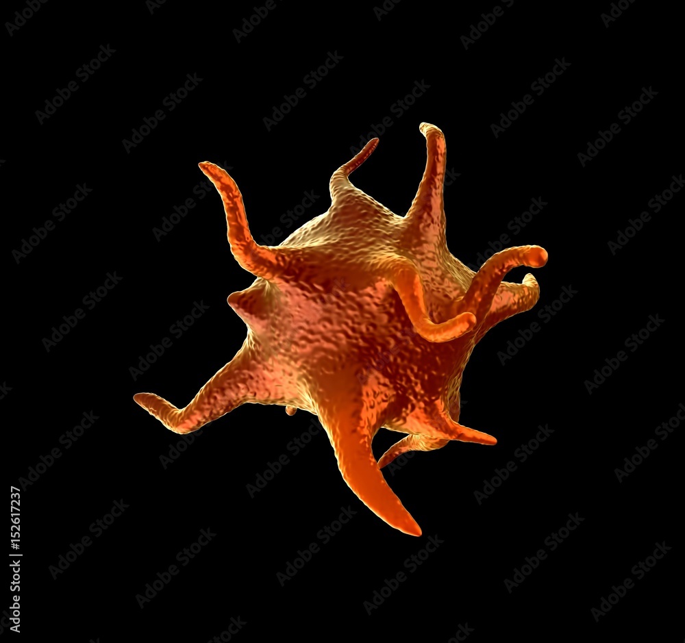 Activated platelets - 3d rendering Activated platelets - 3d rendering