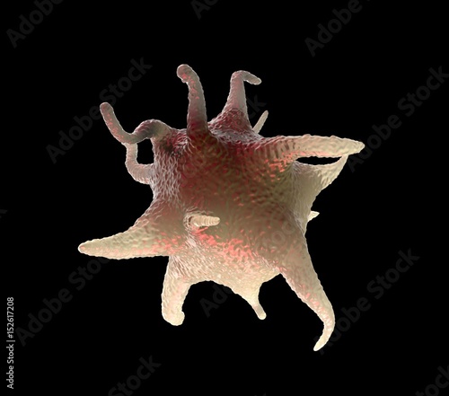 3d rendering - activated platelets
