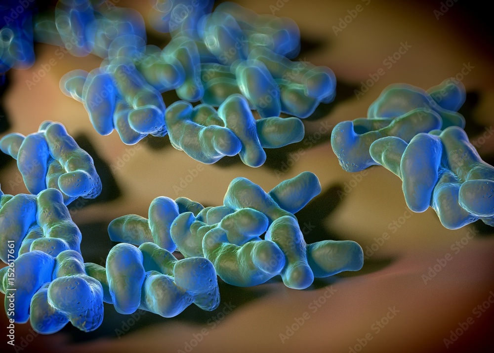 3d rendering - campylobacter jejuni bacteria 3d rendering - campylobacter jejuni bacteria