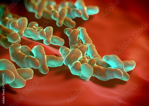 3d rendering - campylobacter jejuni bacteria