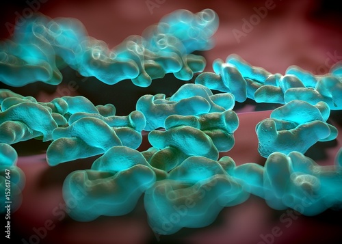 3d rendering - campylobacter jejuni bacteria