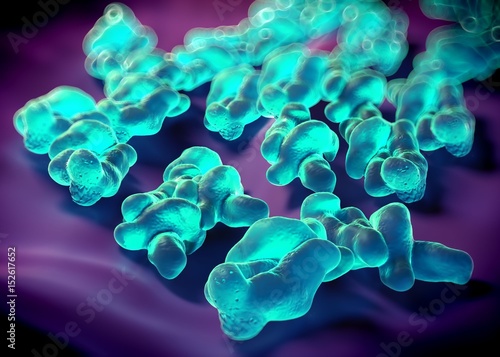 3d rendering - campylobacter jejuni bacteria
