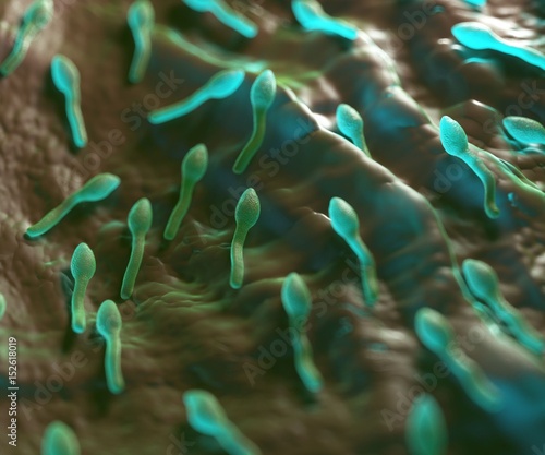 3d rendering - clostridium tetani bacterium