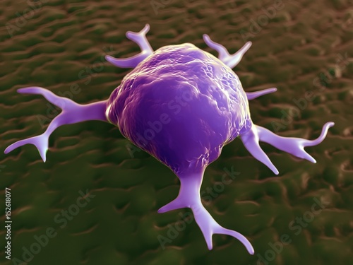 3d rendering - macrophages