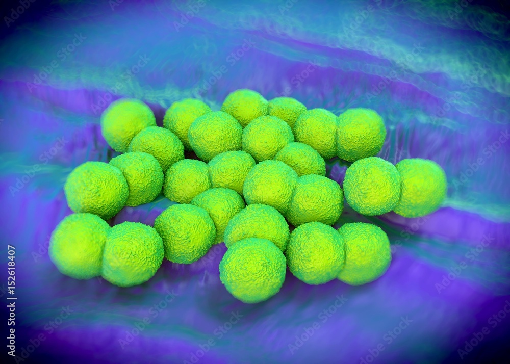 3d rendering - Neisseria gonorrhoeae bacteria 3d rendering - Neisseria gonorrhoeae bacteria