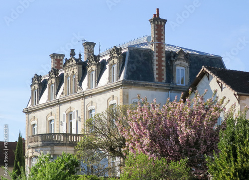 Fototapeta Naklejka Na Ścianę i Meble -  View of a beautiful castle property in Perigord in France