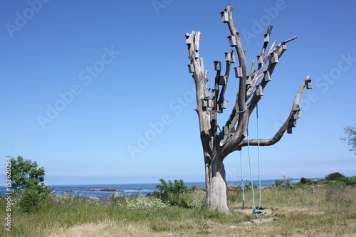 Nesting boxes hang on the branches of a tree on a island Bornholm. Denmark photo