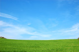 Prateria verde con cielo azzurro