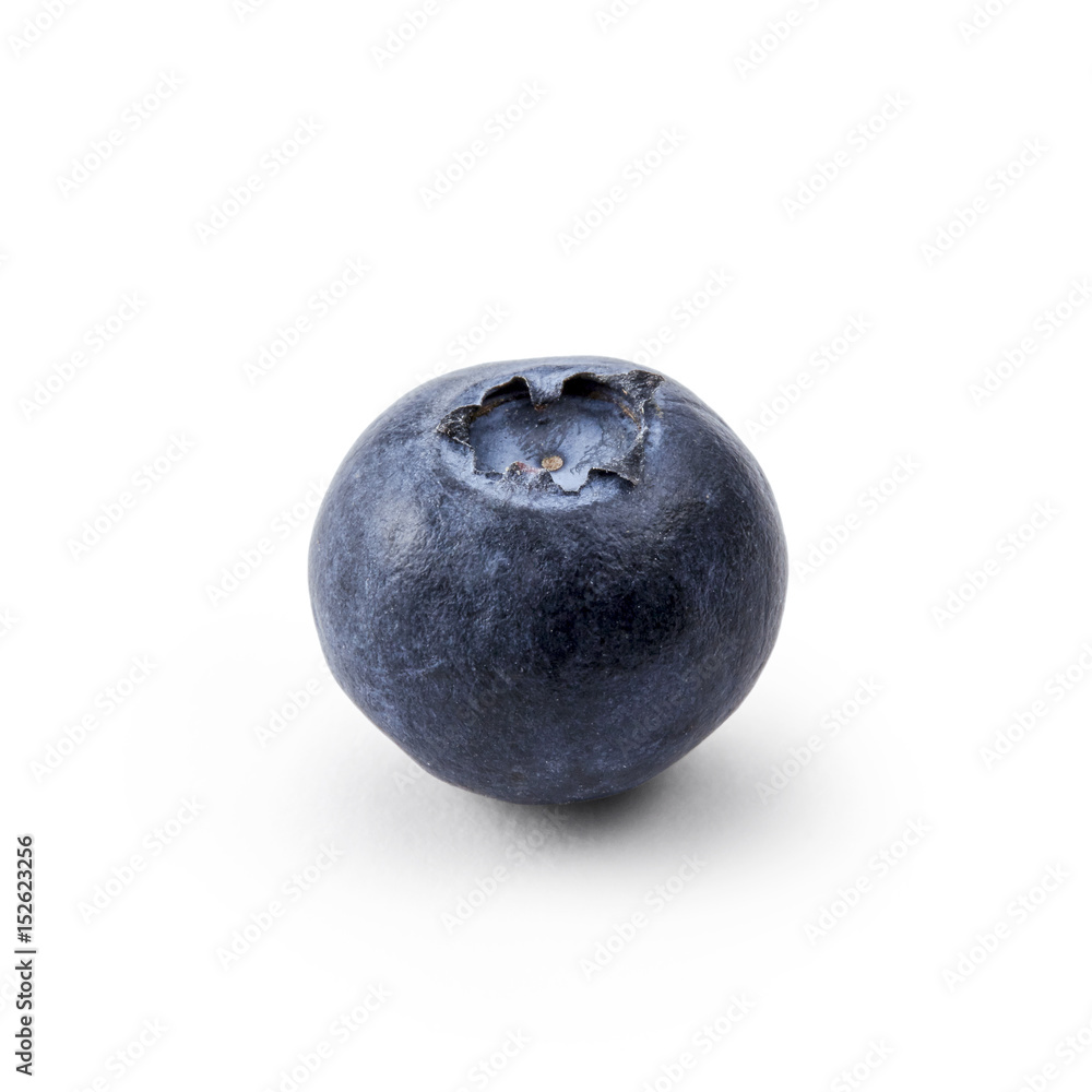 一粒のブルーベリー 影イキ 背景白飛ばし Stock 写真 Adobe Stock